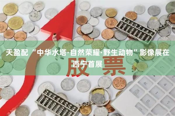 天盈配 “中华水塔·自然荣耀·野生动物”影像展在西宁首展