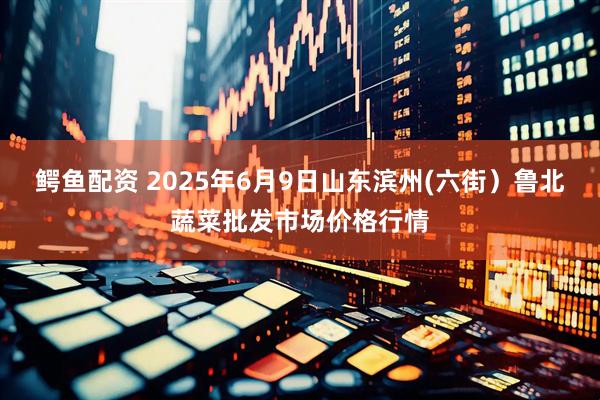 鳄鱼配资 2025年6月9日山东滨州(六街）鲁北蔬菜批发市场价格行情