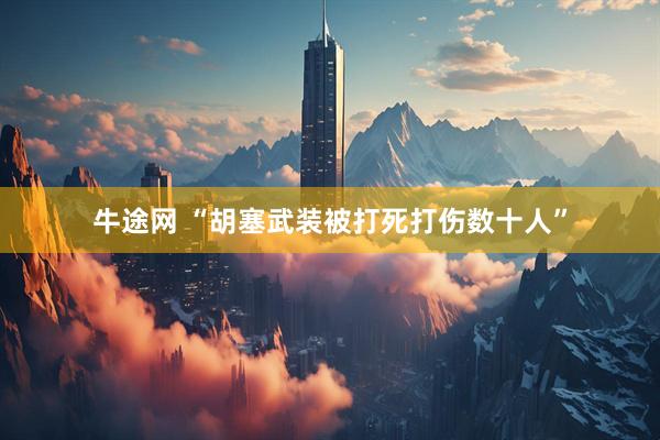 牛途网 “胡塞武装被打死打伤数十人”