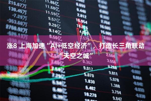 涨8 上海加速“AI+低空经济”，打造长三角联动“天空之城”