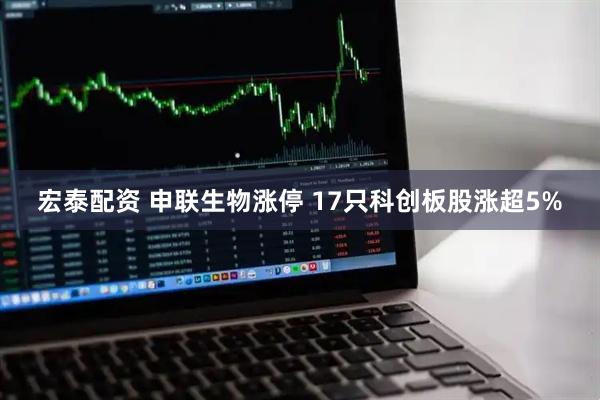 宏泰配资 申联生物涨停 17只科创板股涨超5%