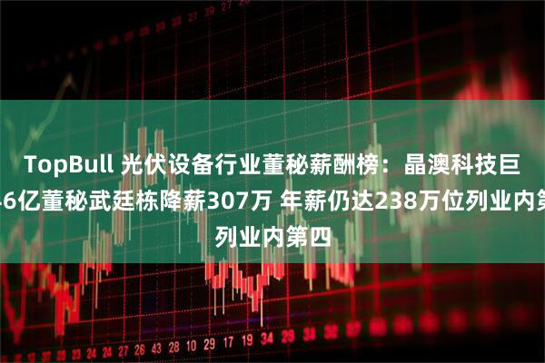 TopBull 光伏设备行业董秘薪酬榜：晶澳科技巨亏46亿董秘武廷栋降薪307万 年薪仍达238万位列业内第四