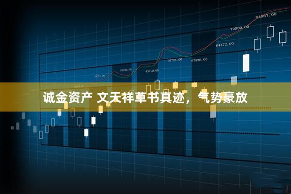 诚金资产 文天祥草书真迹，气势豪放