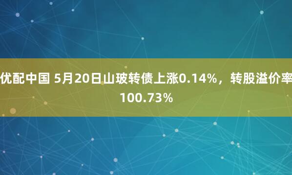 优配中国 5月20日山玻转债上涨0.14%，转股溢价率100.73%